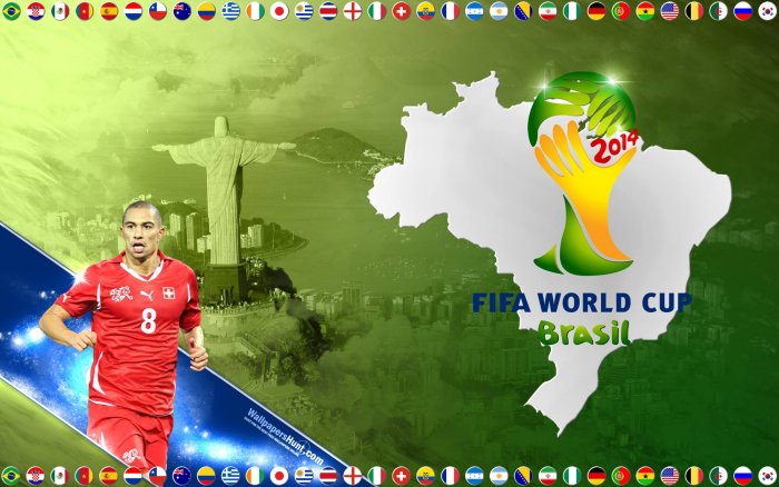 2014 FIFA World Cup Brazil - Group E - Switzerland : Ecuador