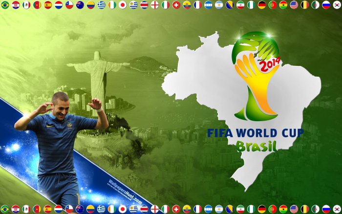 2014 FIFA World Cup Brazil - Group E - France : Honduras