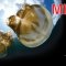 11th%20Malaysia%20International%20Dive%20Expo%20-%20MIDE%202016