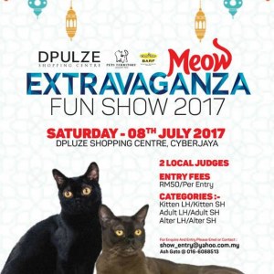 Meow%20Extravaganza%20Fun%20Show%202017