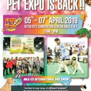 Pet%20Fiesta%202019