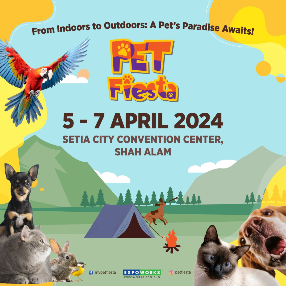 Pet Fiesta 2024